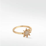 Star Diamond PavŽ Ring in 14K Gold - Lark and Berry